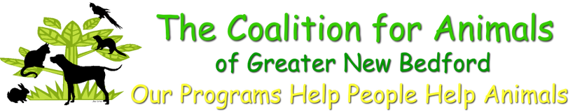 Coalition for Animals<br />